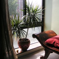 KONICA MINOLTA DIGITAL CAMERA